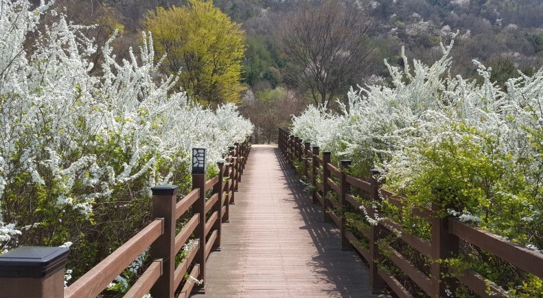 동산잔디 이미지