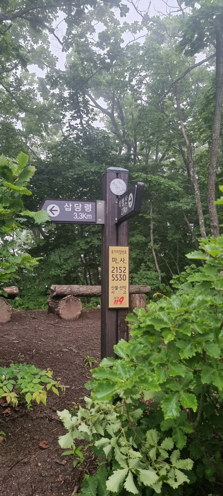 굴다리 이미지