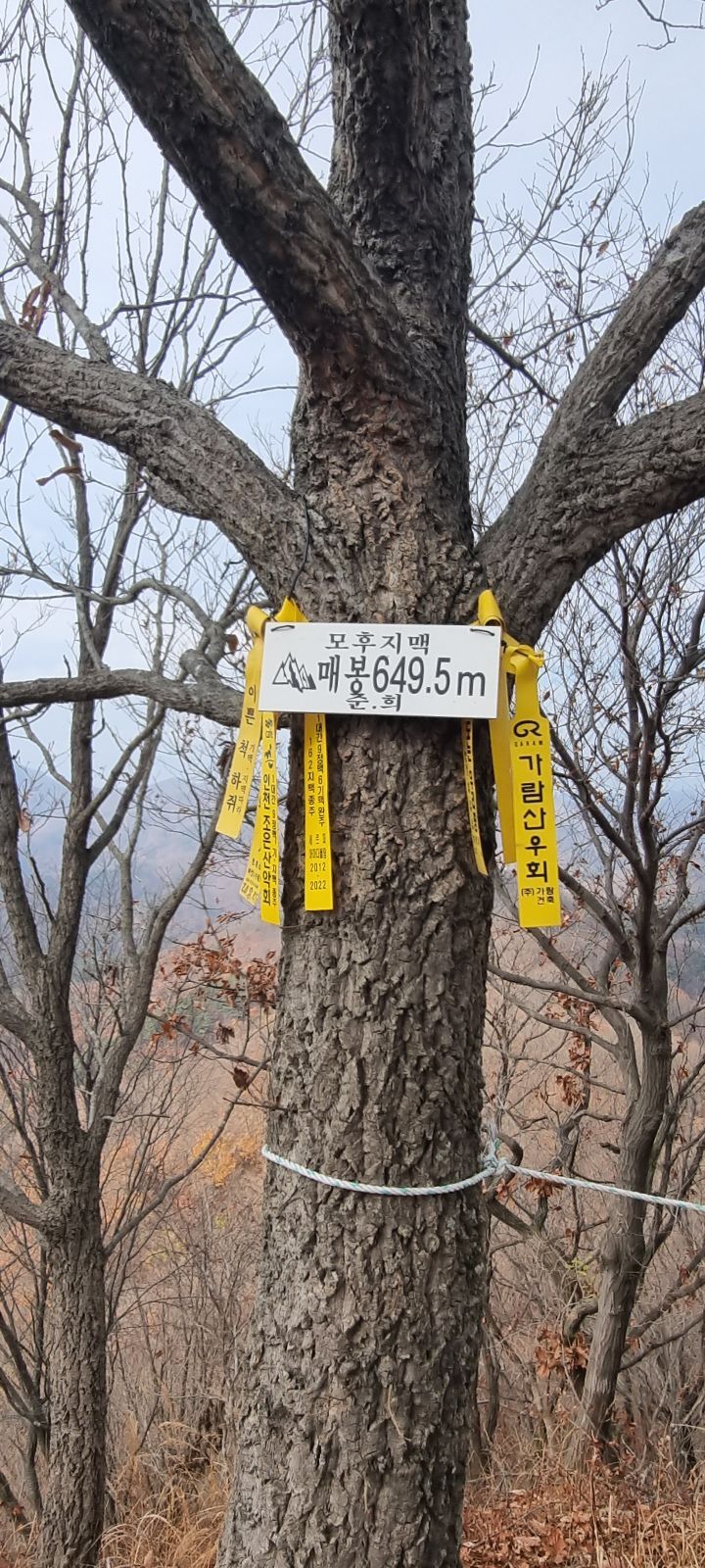 매봉가든 이미지
