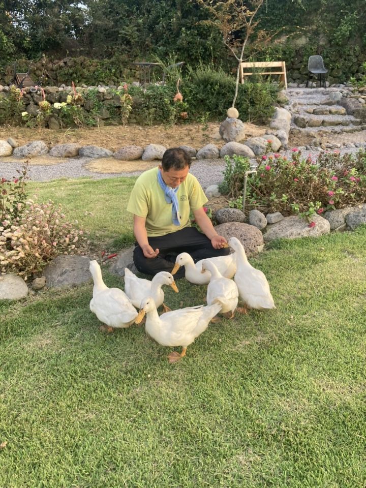 빌레못 이미지