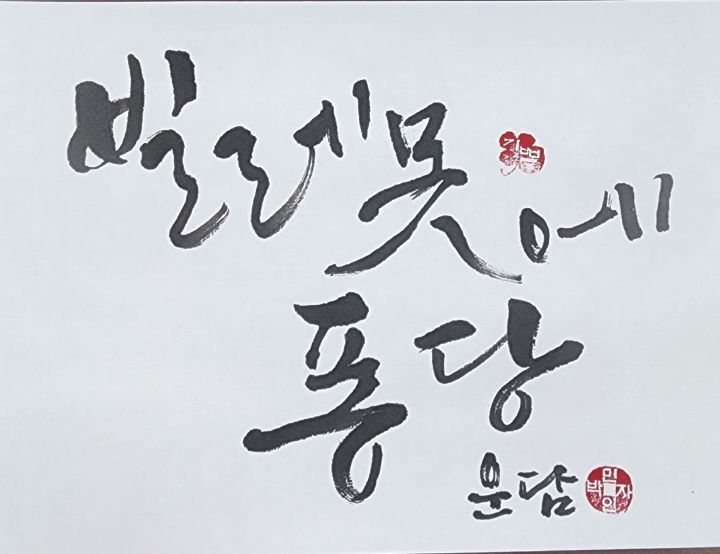 빌레못 이미지