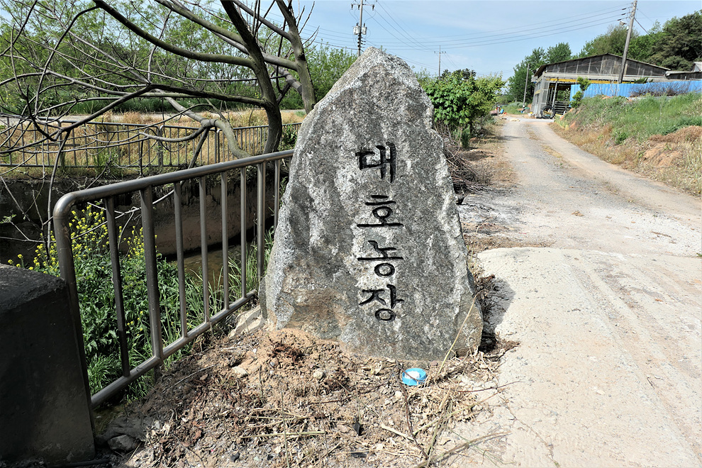 옥룡지맥(옥룡지맥 분기점=＞옥룡산=＞영산강/몽탄나루) - 윤종국님(16) 카페★ - 와수초등학교 총동문회 옥룡지맥(옥룡지맥 분기점=＞옥룡산... 