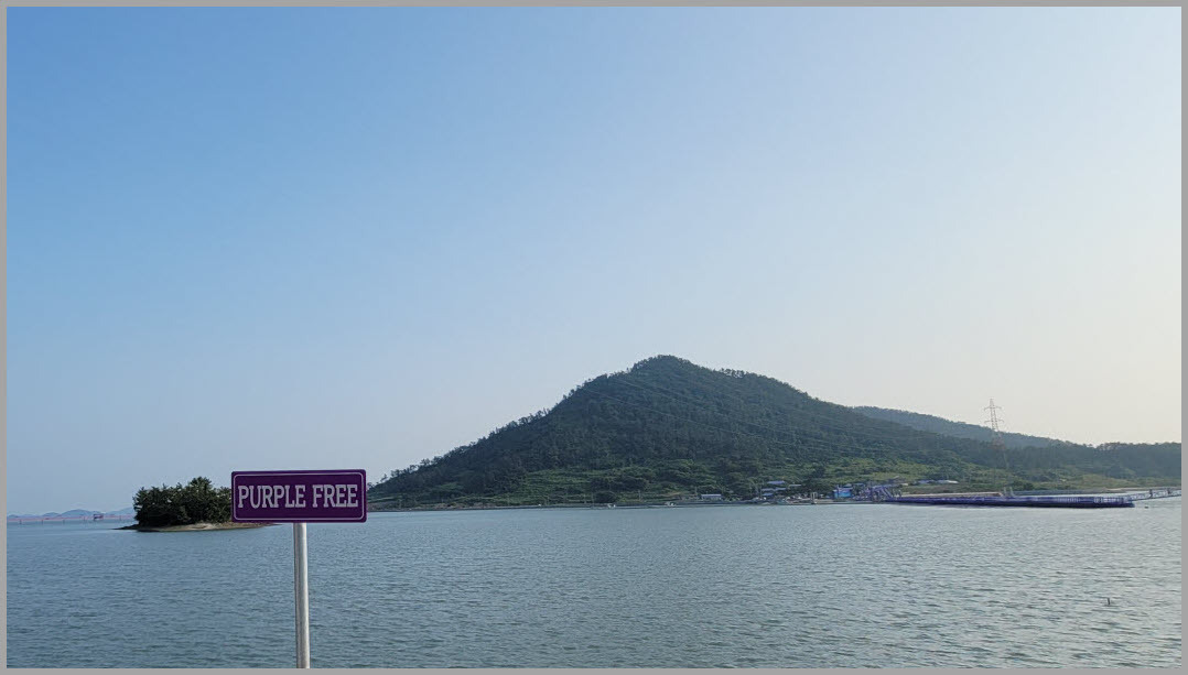 보라색 이미지