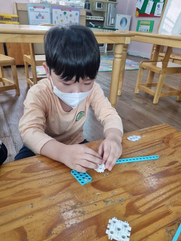 알록네이처 이미지