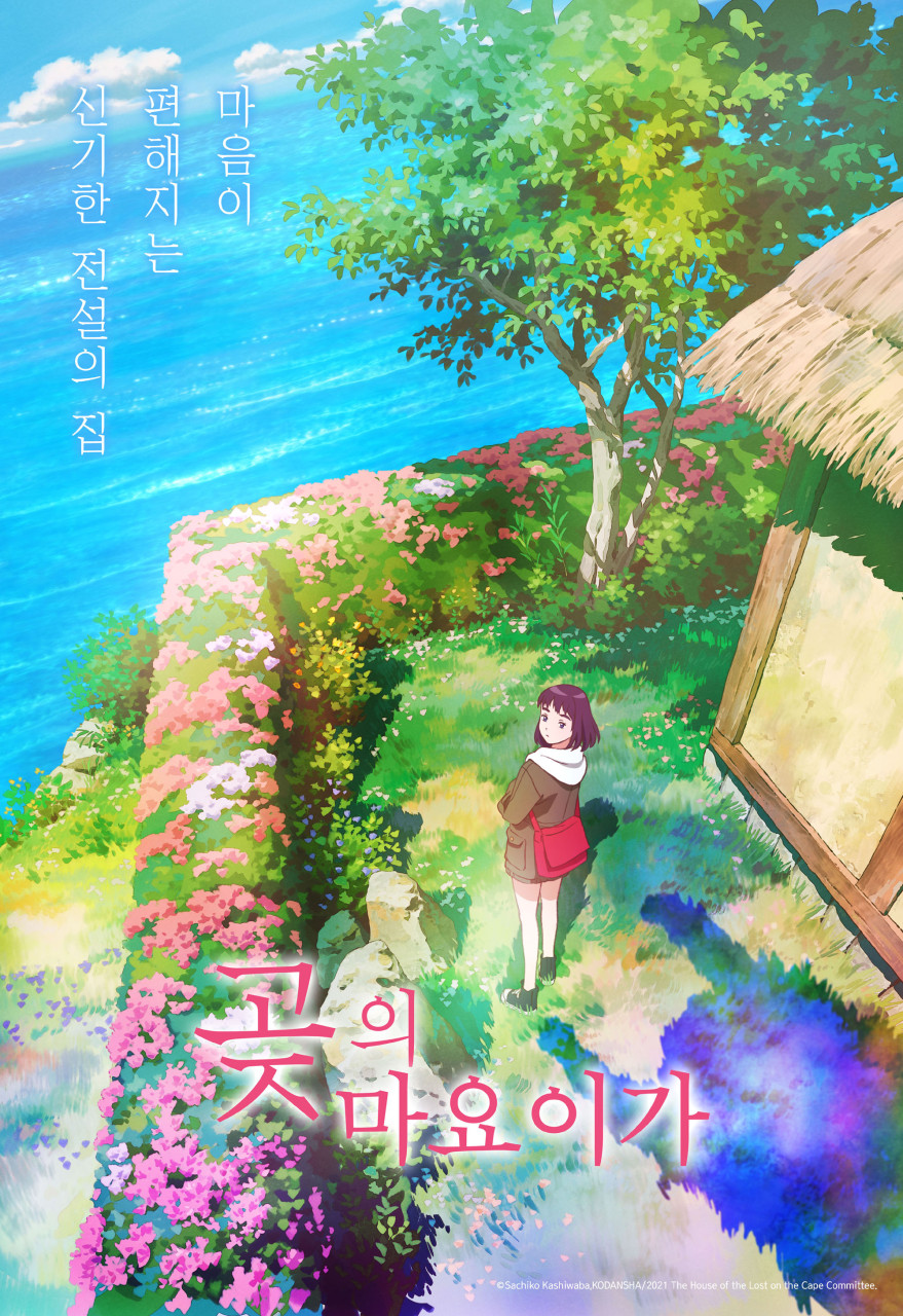 마요이 이미지