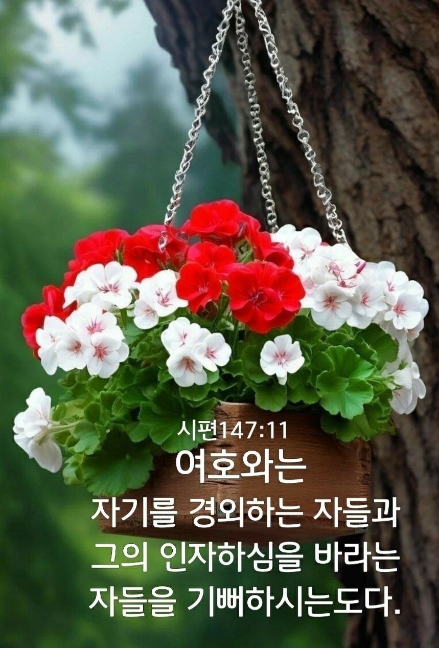 (주)시온 이미지
