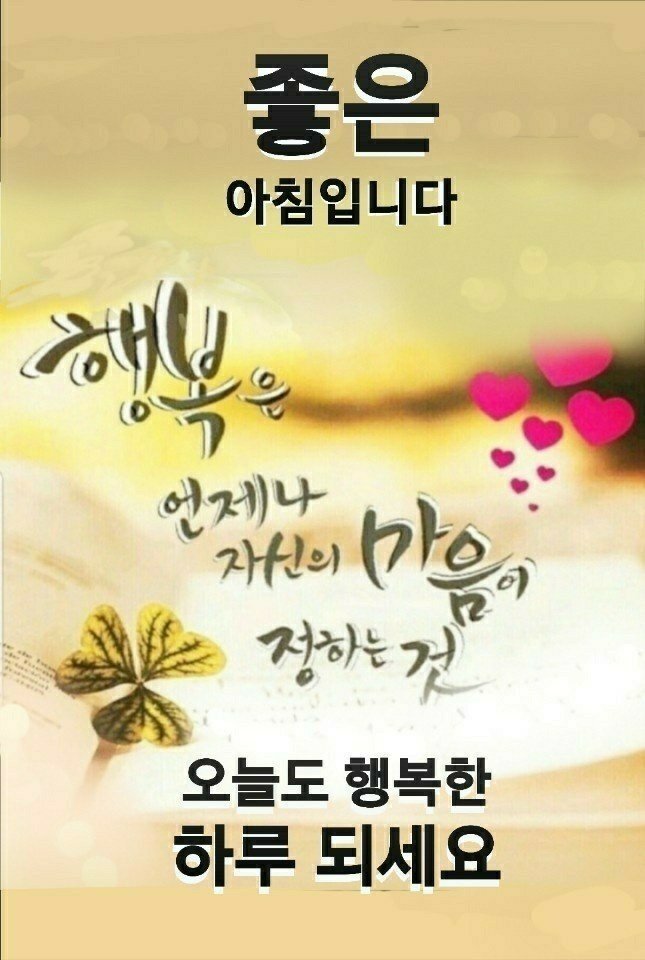 청효 이미지