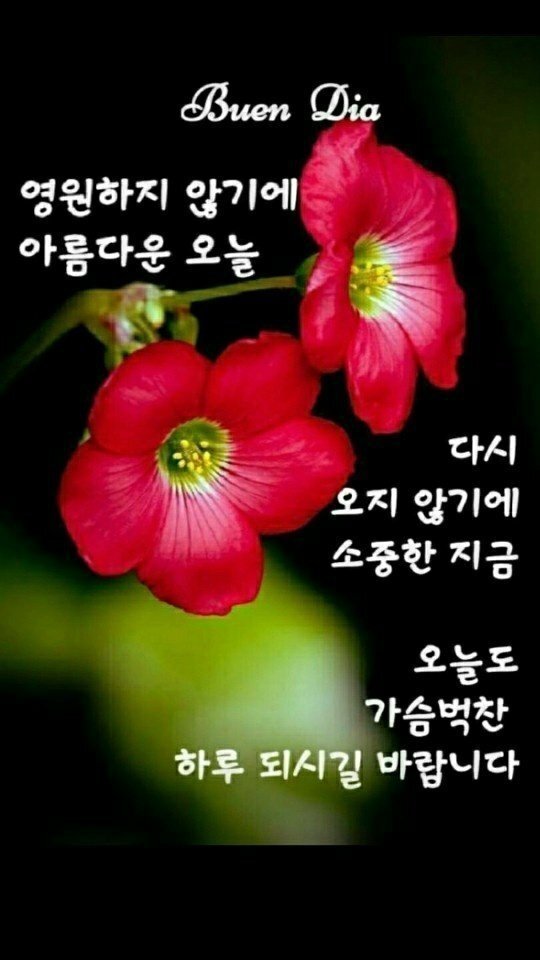 마음길 이미지