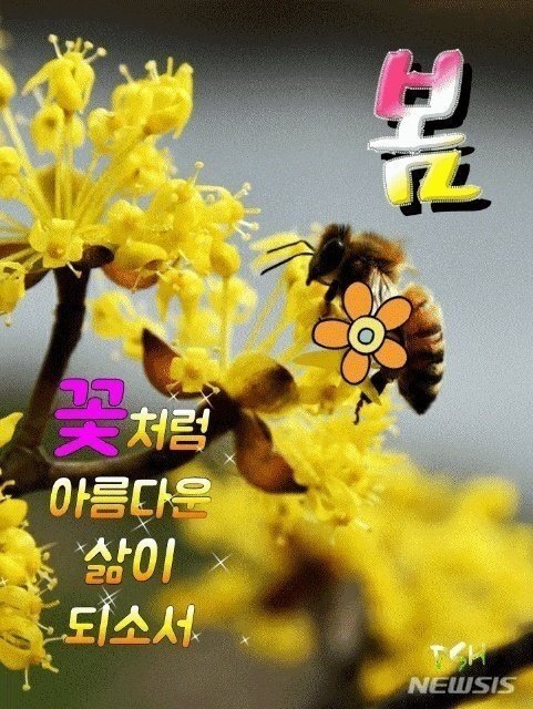 청효 이미지