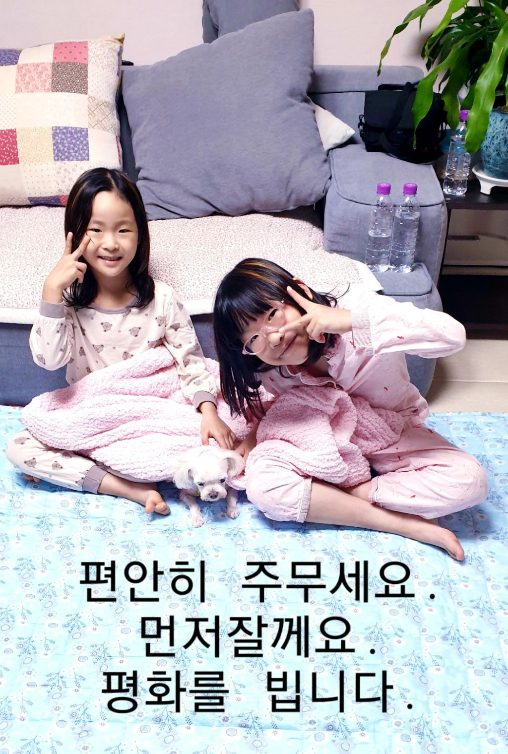 롤러가자 이미지