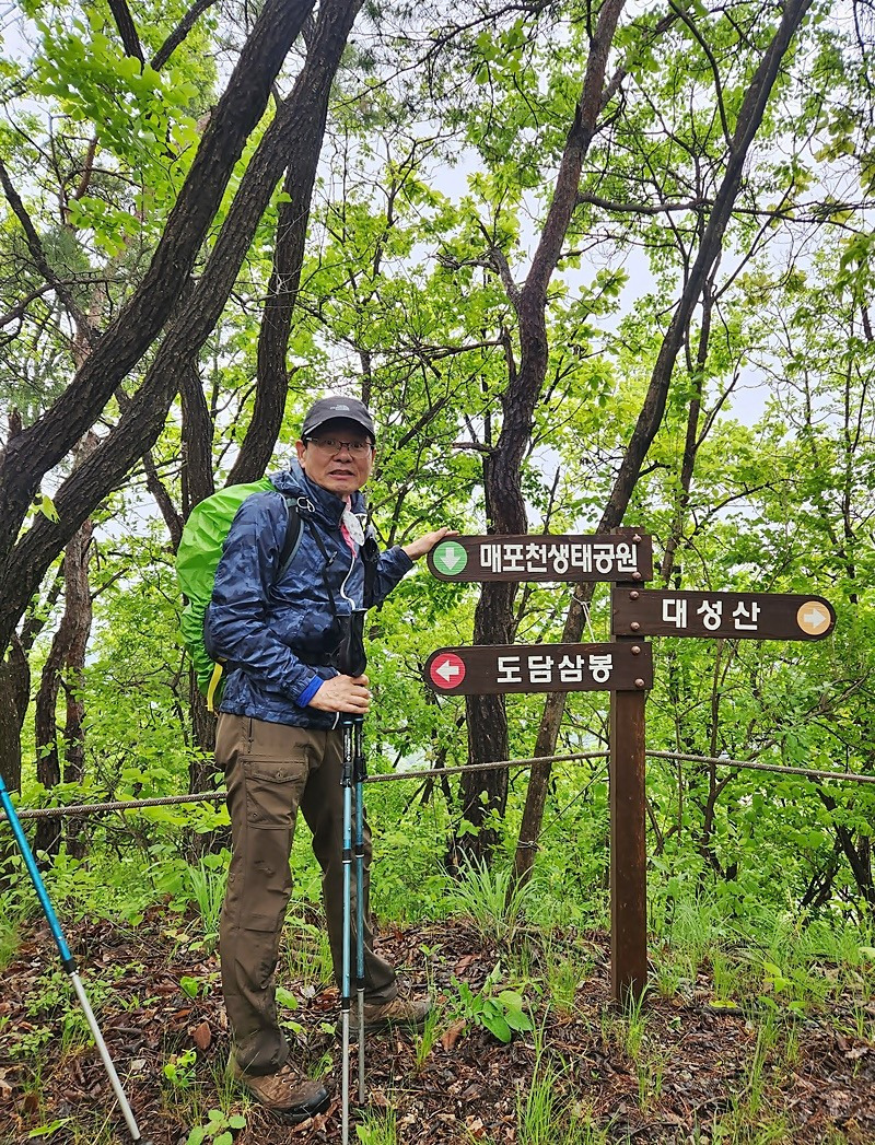 대성산 이미지