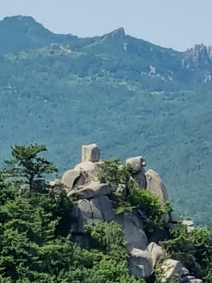 금강원 이미지