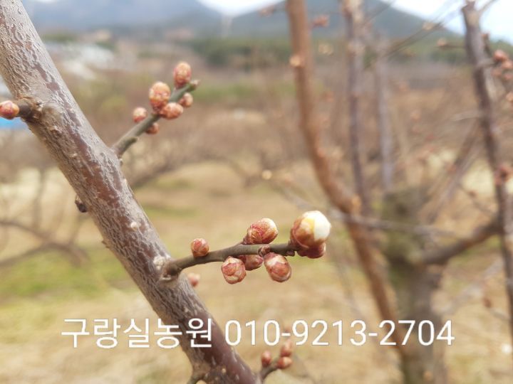 진농원 이미지