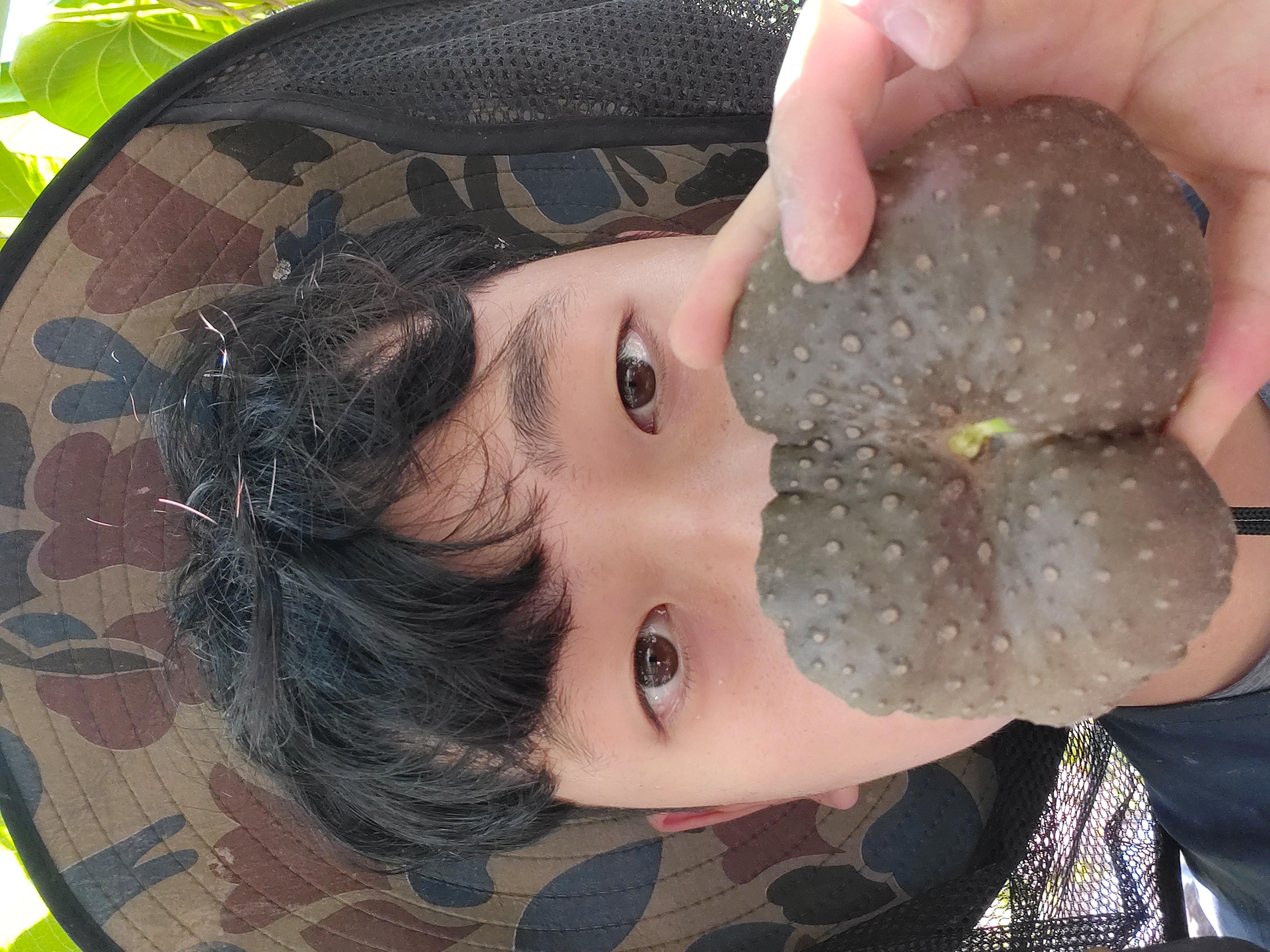 정다운농원 이미지