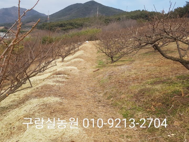 진농원 이미지