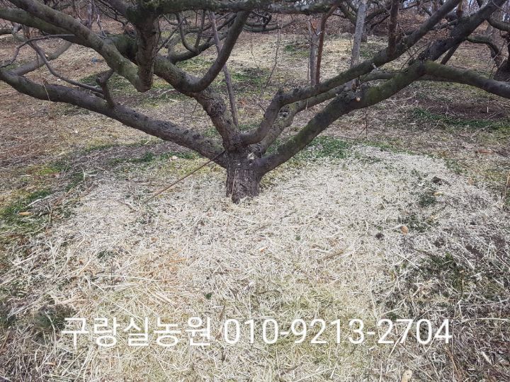 지니농원 이미지
