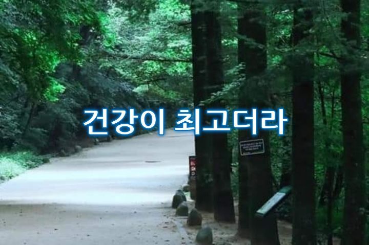 건강최고 이미지
