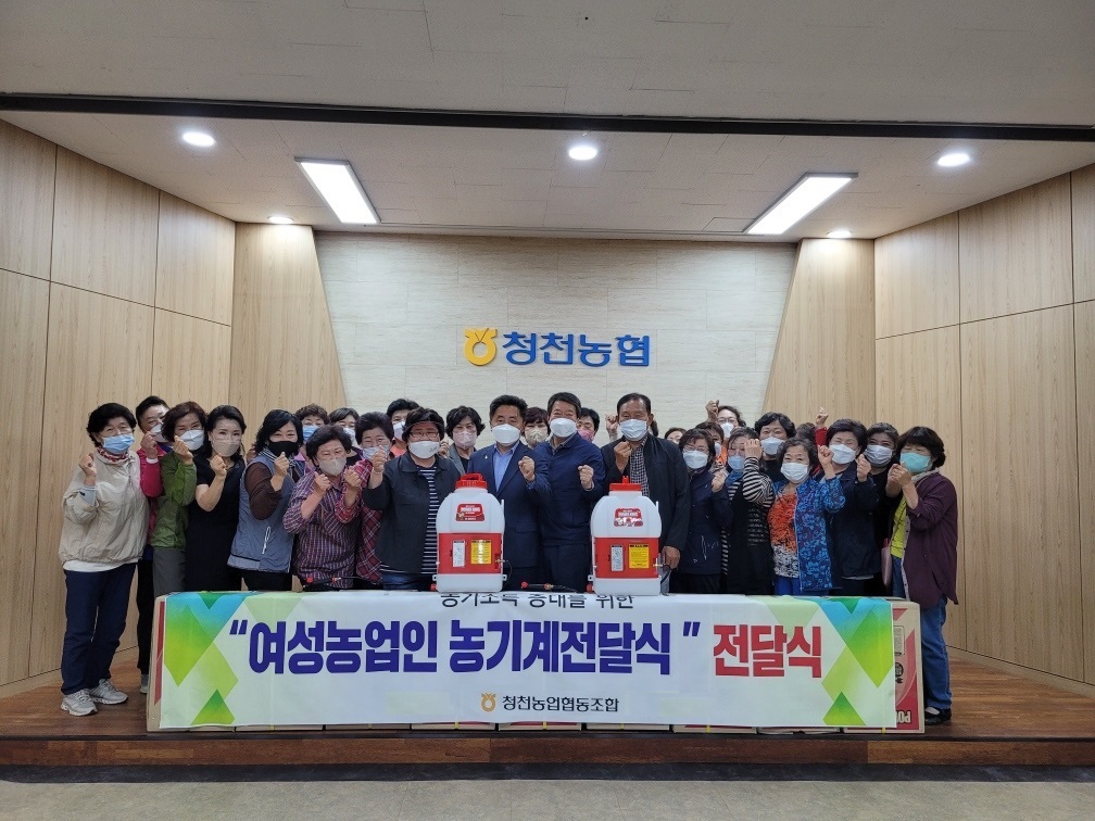 청천인력 이미지