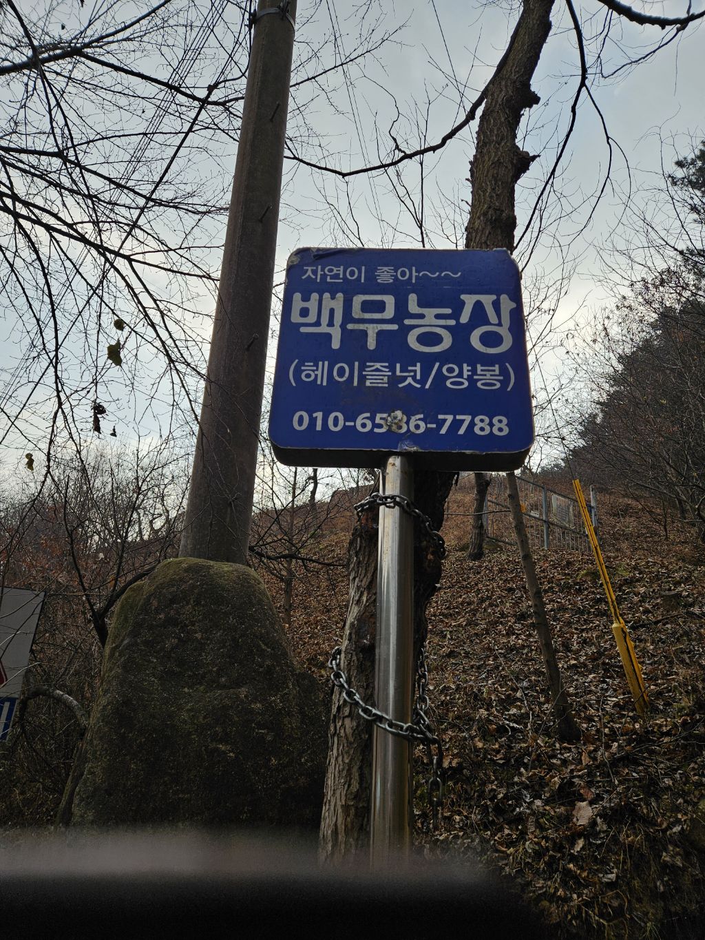 상촌주유소 이미지
