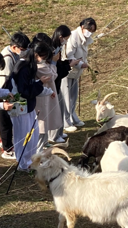 호계고등학교 이미지