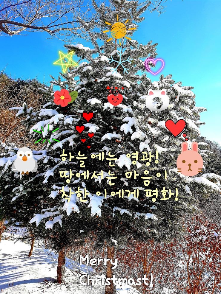 나라이브 이미지