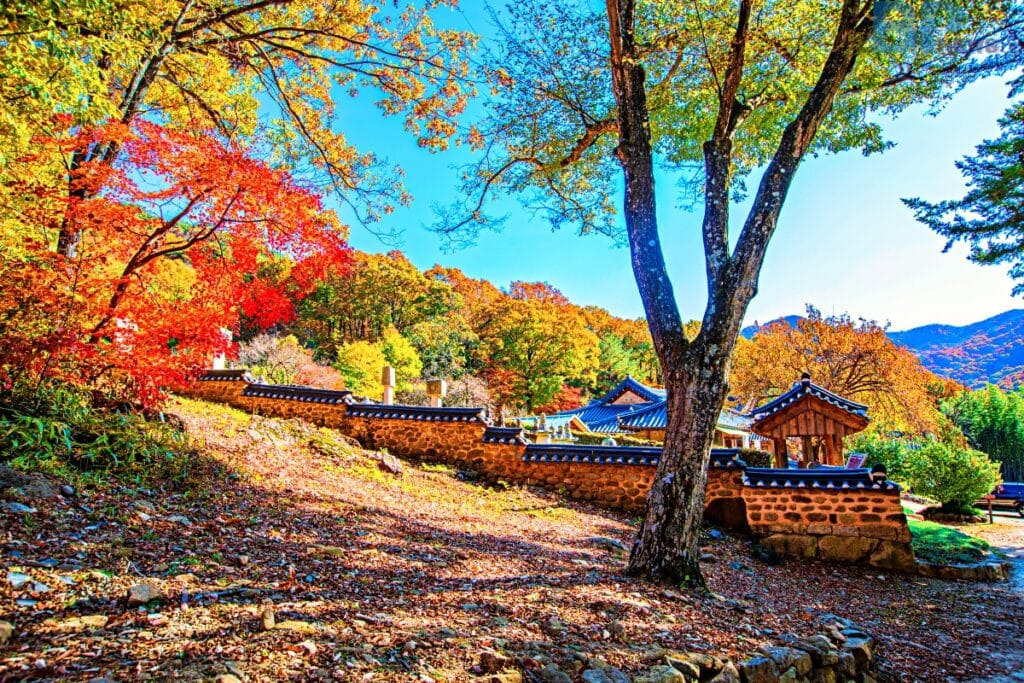 삼보서점 이미지