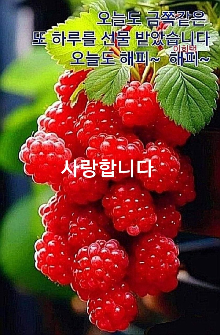 행복예감 이미지