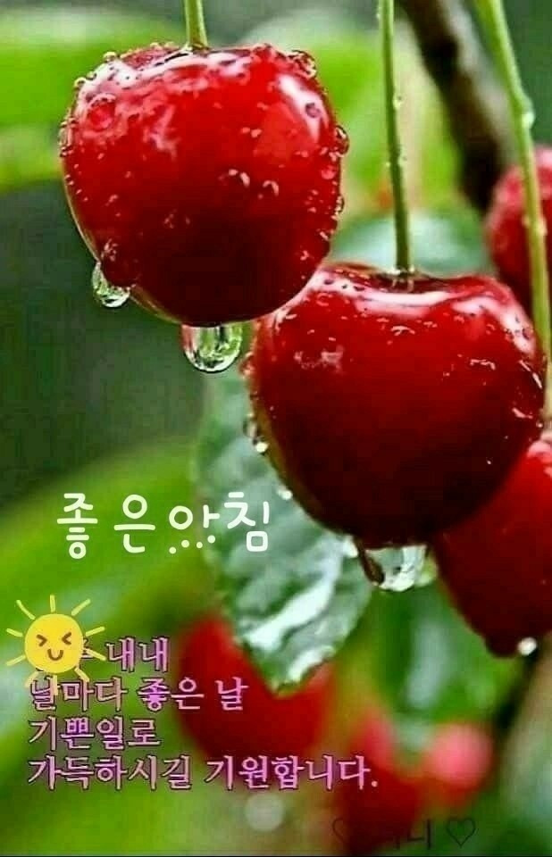 좋은인연 이미지