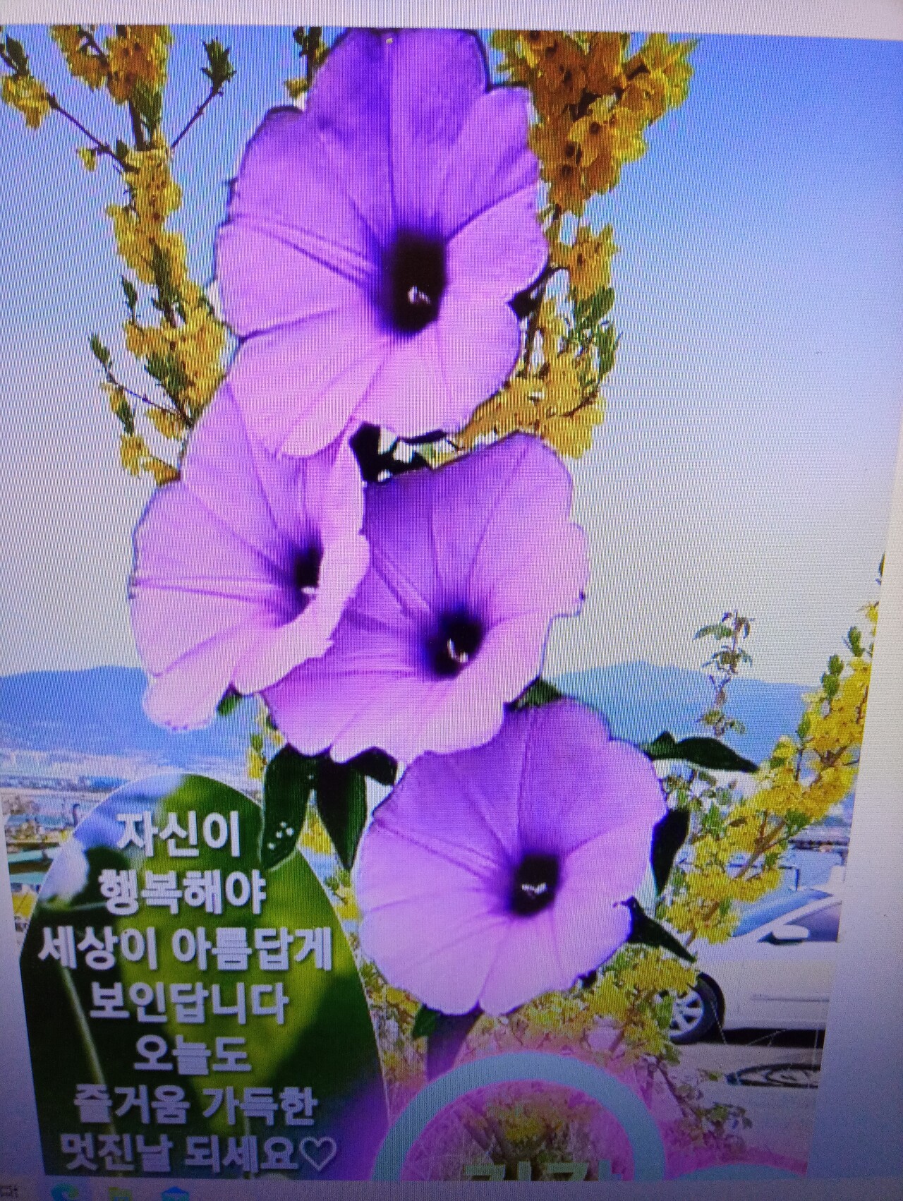 인연의향기 이미지