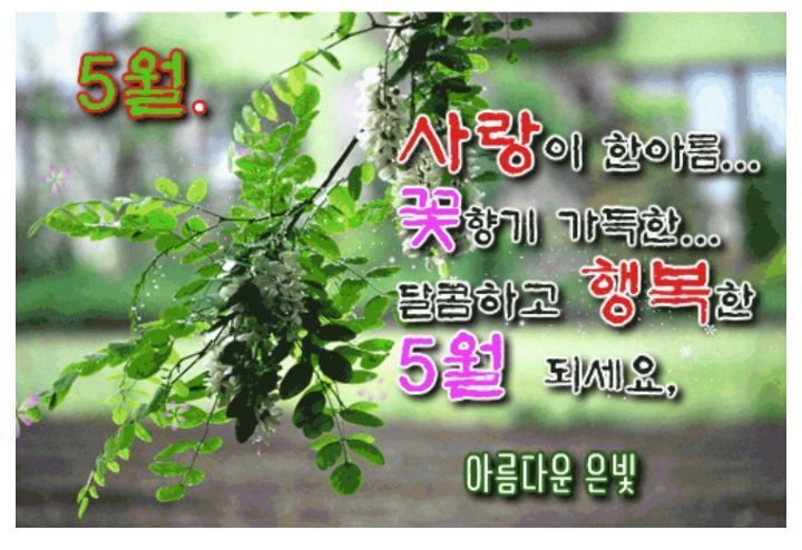 까페마음 이미지