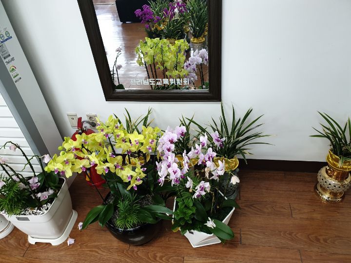 99c05cd05cb74e76abb0b6718604377695c12a9c