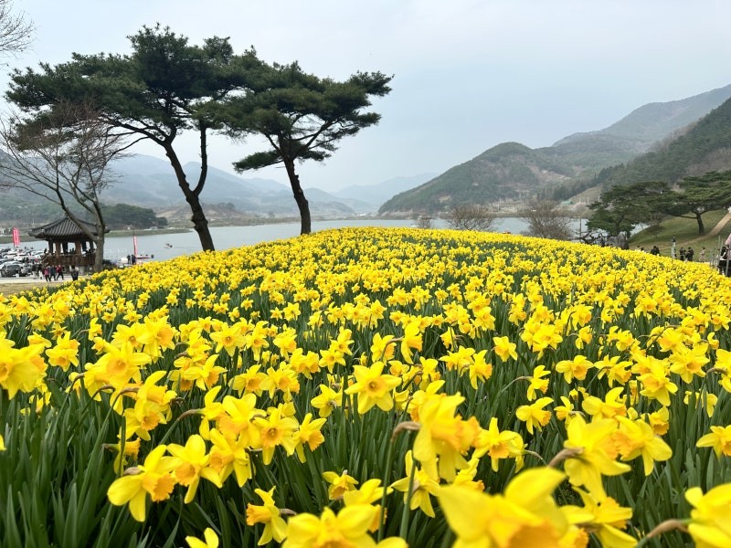 길목 이미지