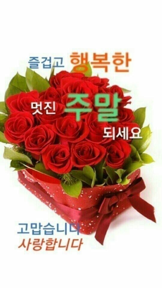 꽃 이미지
