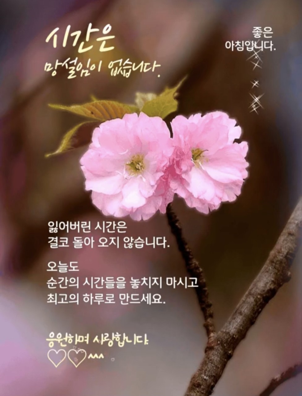청명 이미지