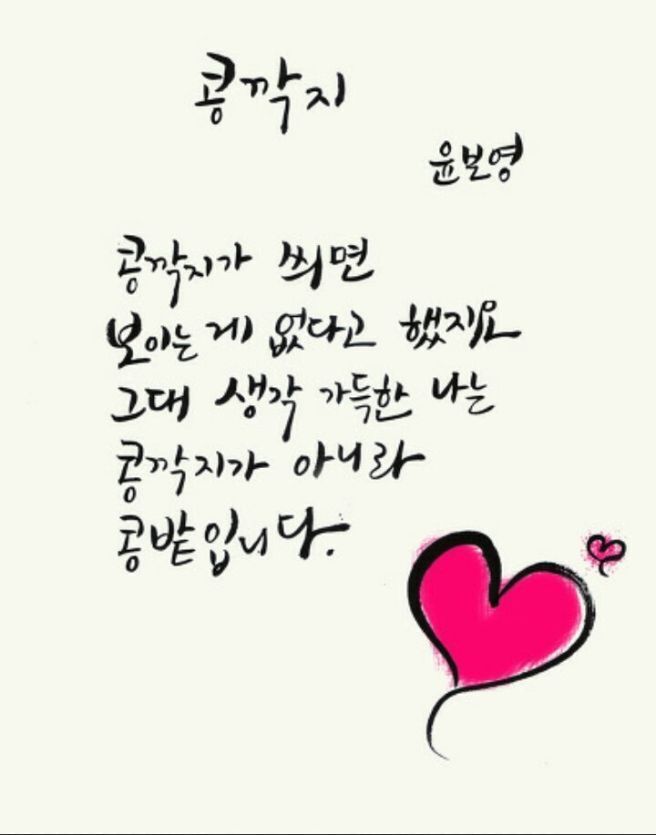 콩깍지 이미지