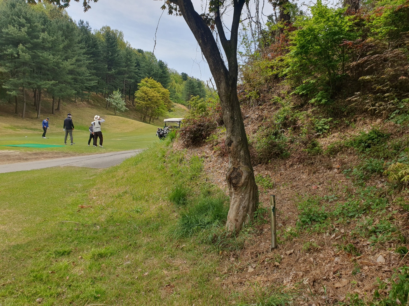 남코스5번 이미지