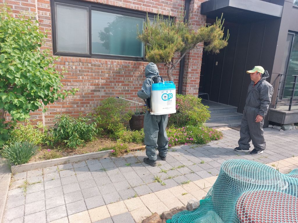 평화원 이미지