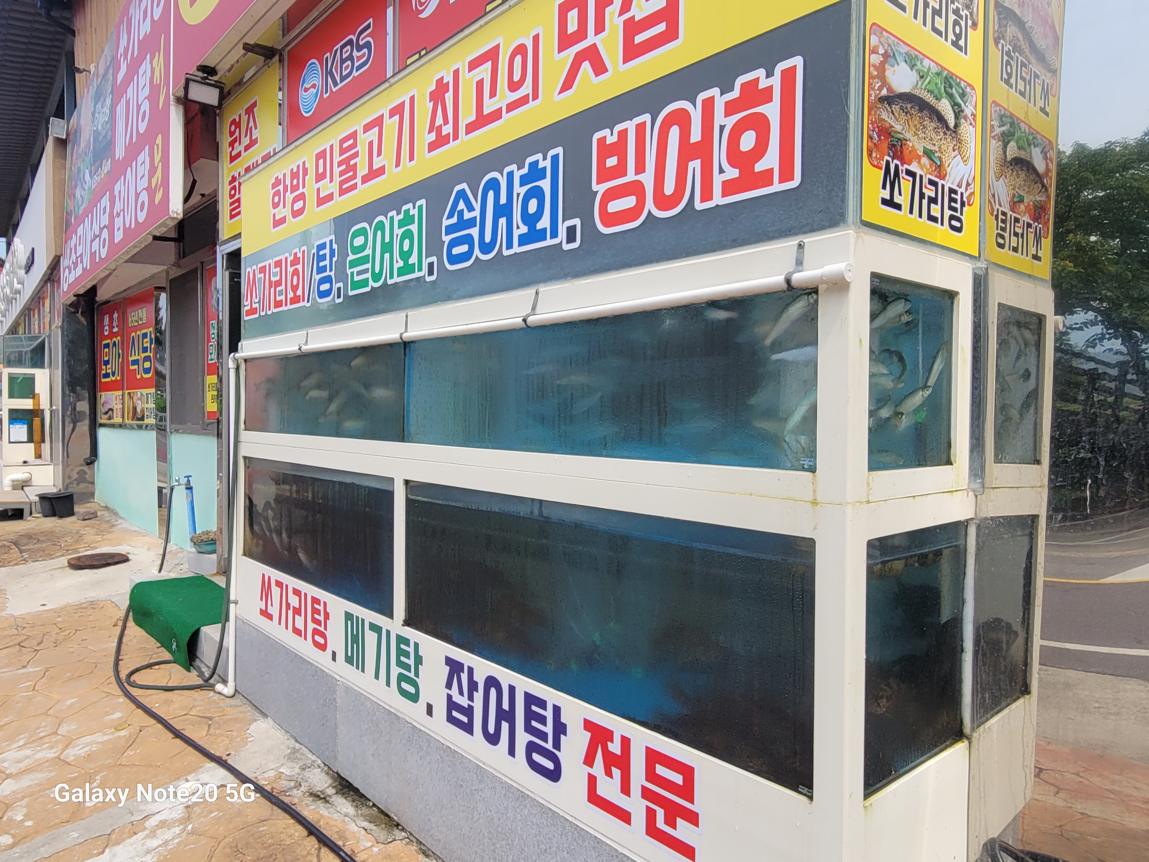 그린프로그 이미지