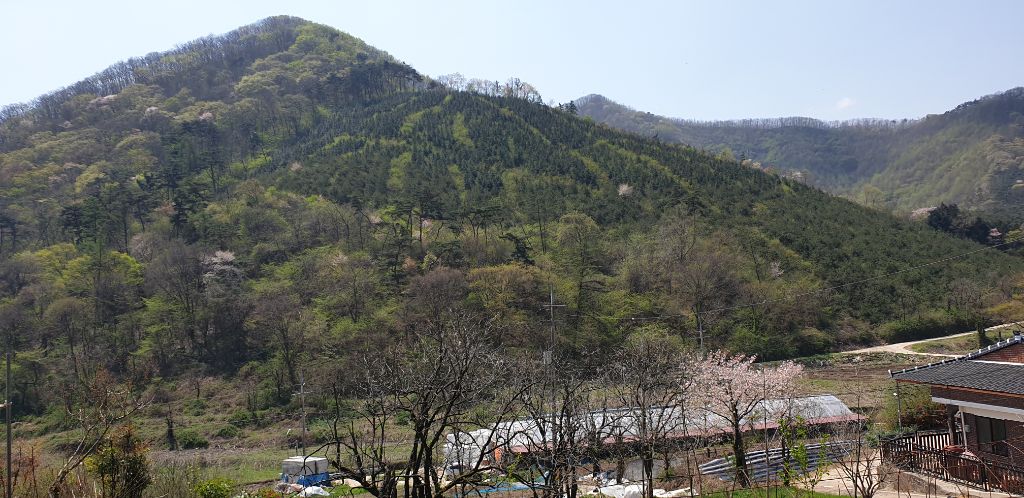 진상골 이미지