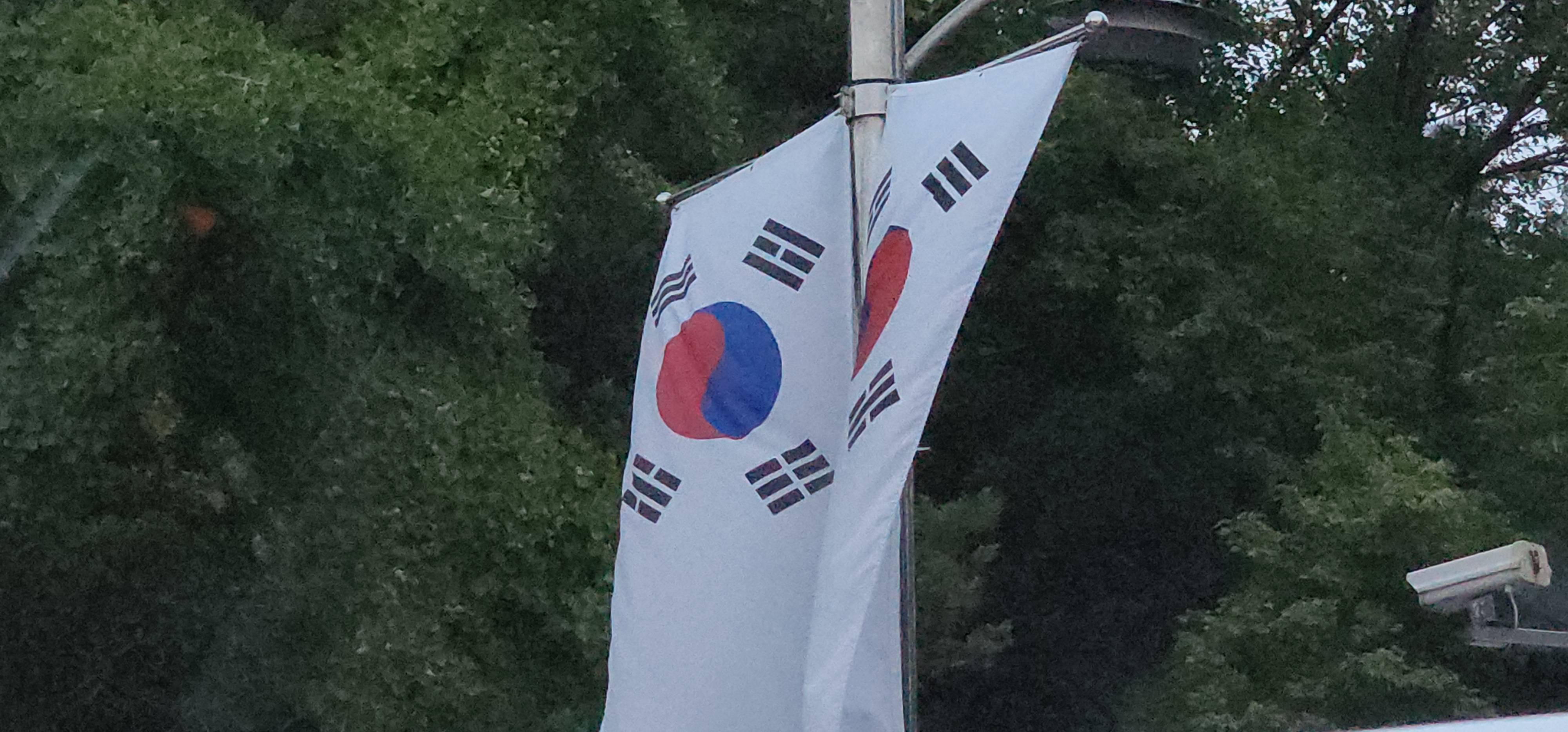 서울명문치과의원 이미지