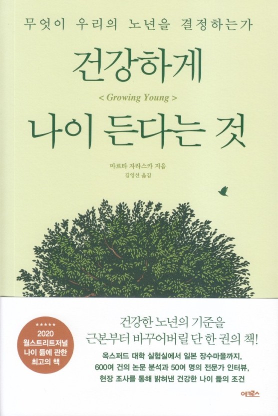 나이스카 이미지