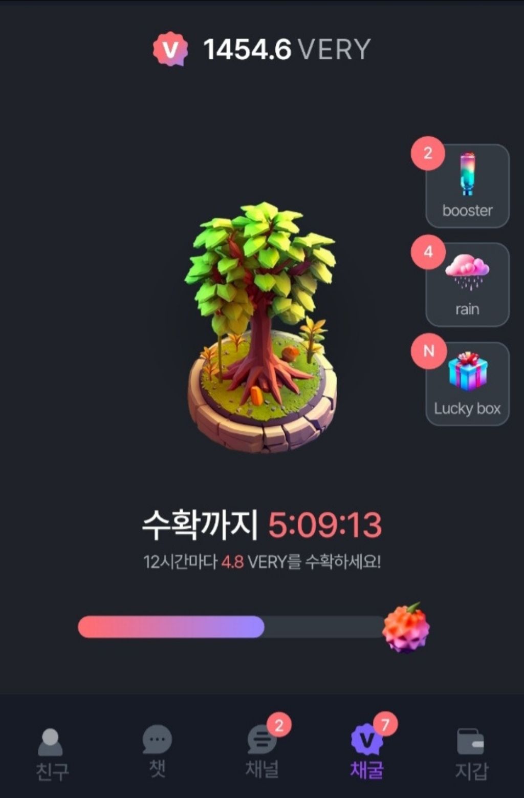 높은베리 이미지