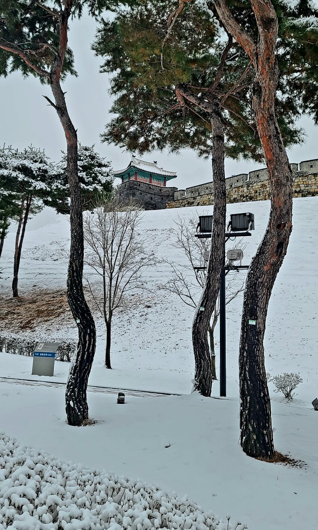 은세계 이미지