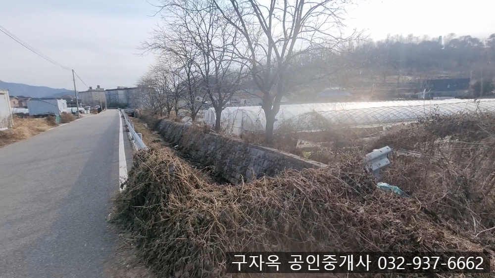 강화중학교 이미지