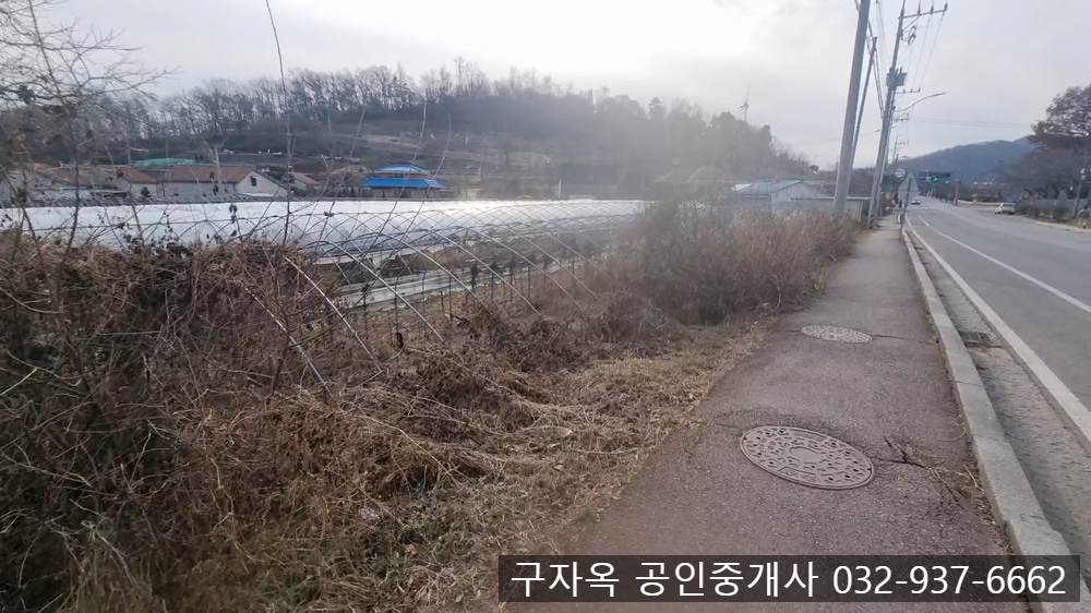 강화중학교 이미지