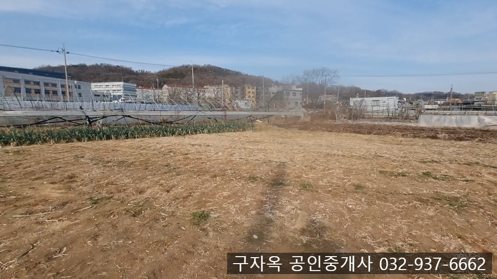 강화중학교 이미지