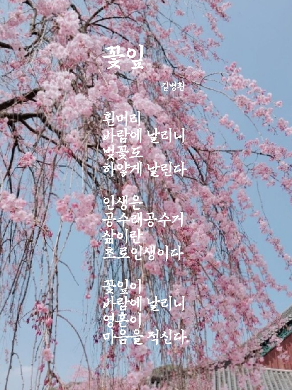 꽃잎 이미지