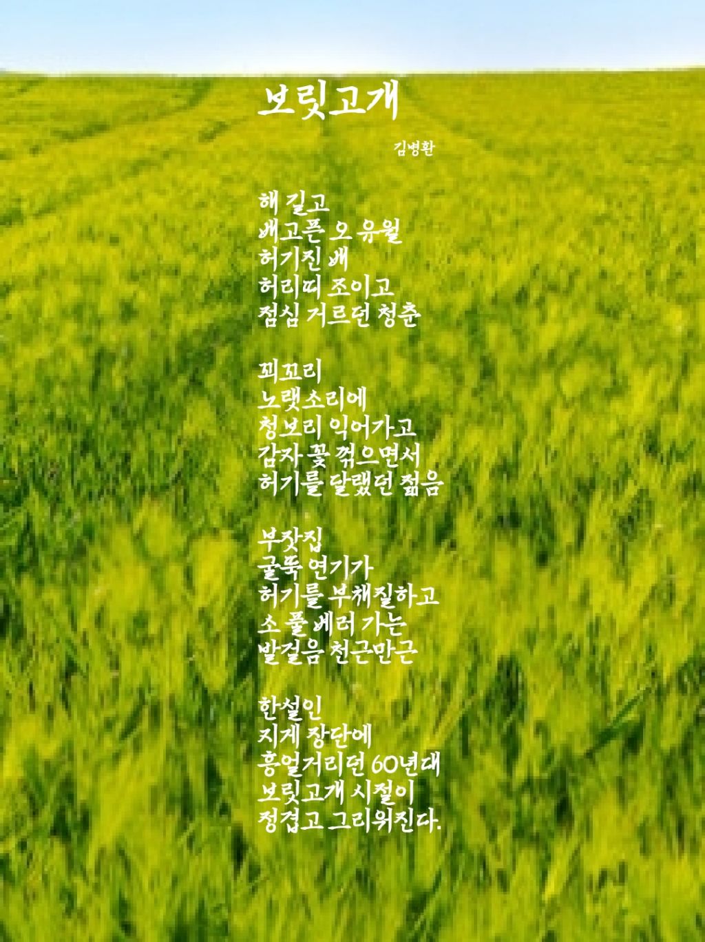 청보리보릿고개 이미지