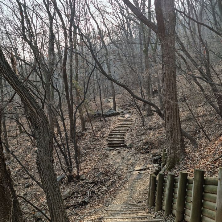 베아툼 이미지