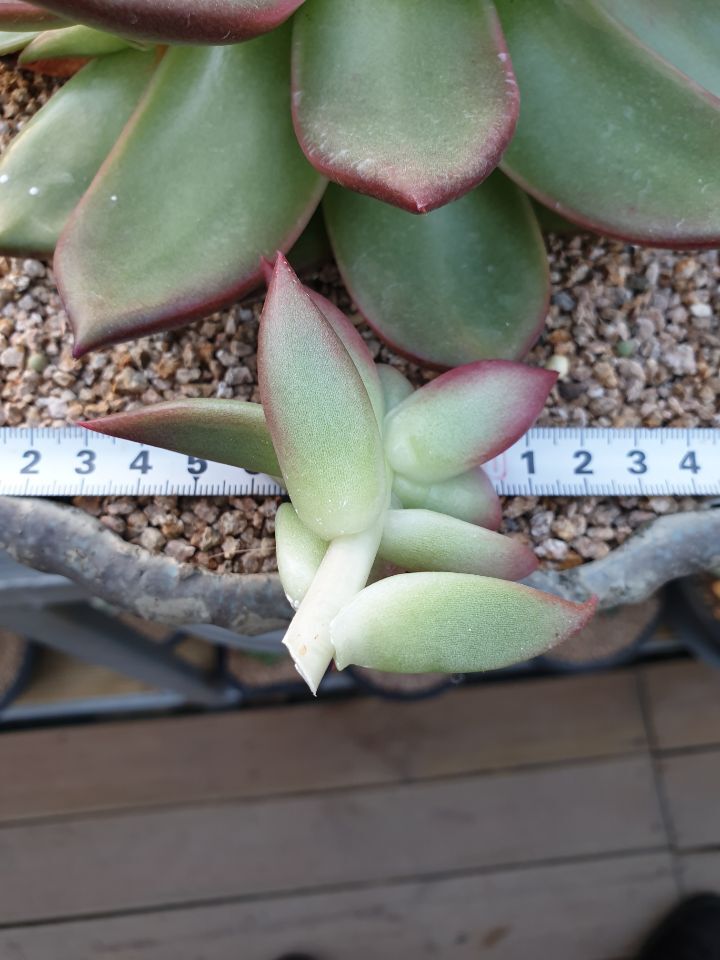 마리아유통 이미지